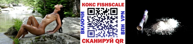 блэк спрут ТОР  Кингисепп  Cocaine Эквадор 