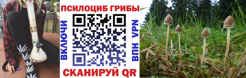 omg   Кингисепп  Псилоцибиновые грибы ЛСД 