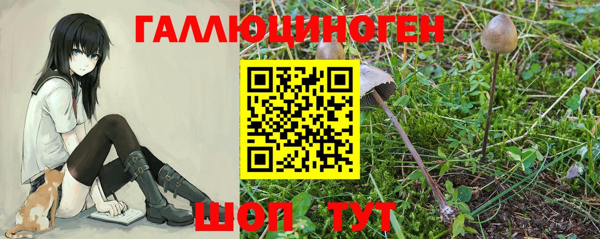 Галлюциногенные грибы прущие грибы  Галлюциногенные грибы мицелий  Кингисепп  Вход с VPN 