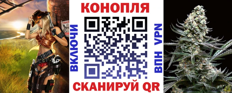 Шишки марихуана OG Kush  даркнет как зайти  Кингисепп 